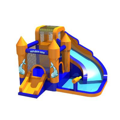 jumping castle with water slides