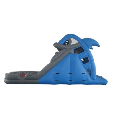 kids inflatable dry slide
