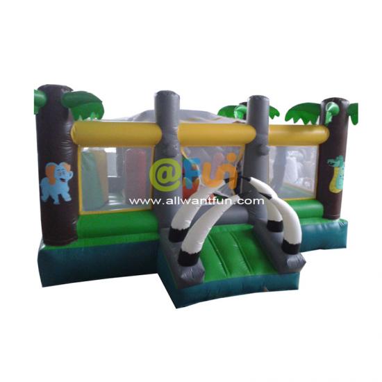 Inflatable castle amusement park